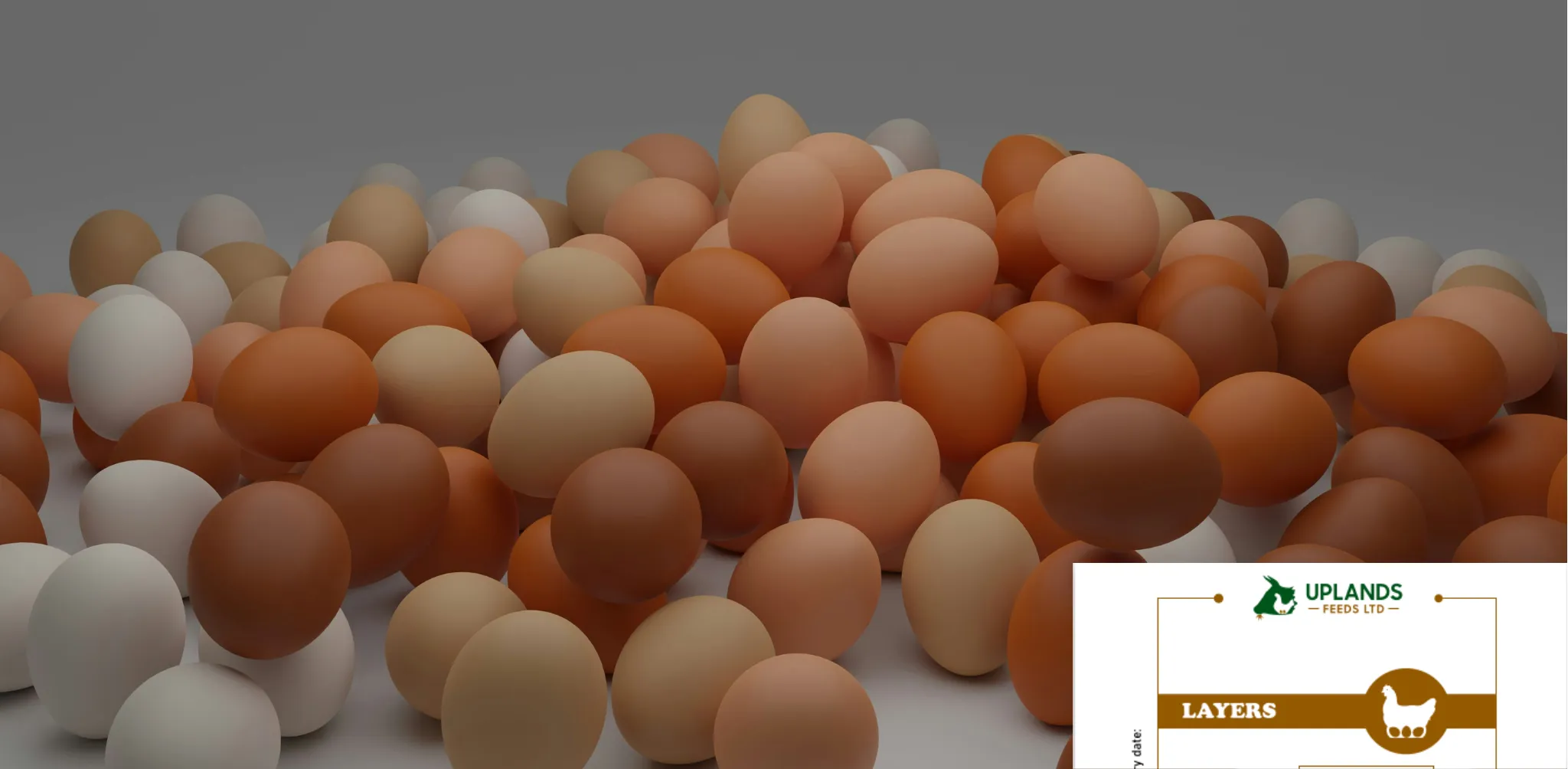 Boost Egg Production Naturally