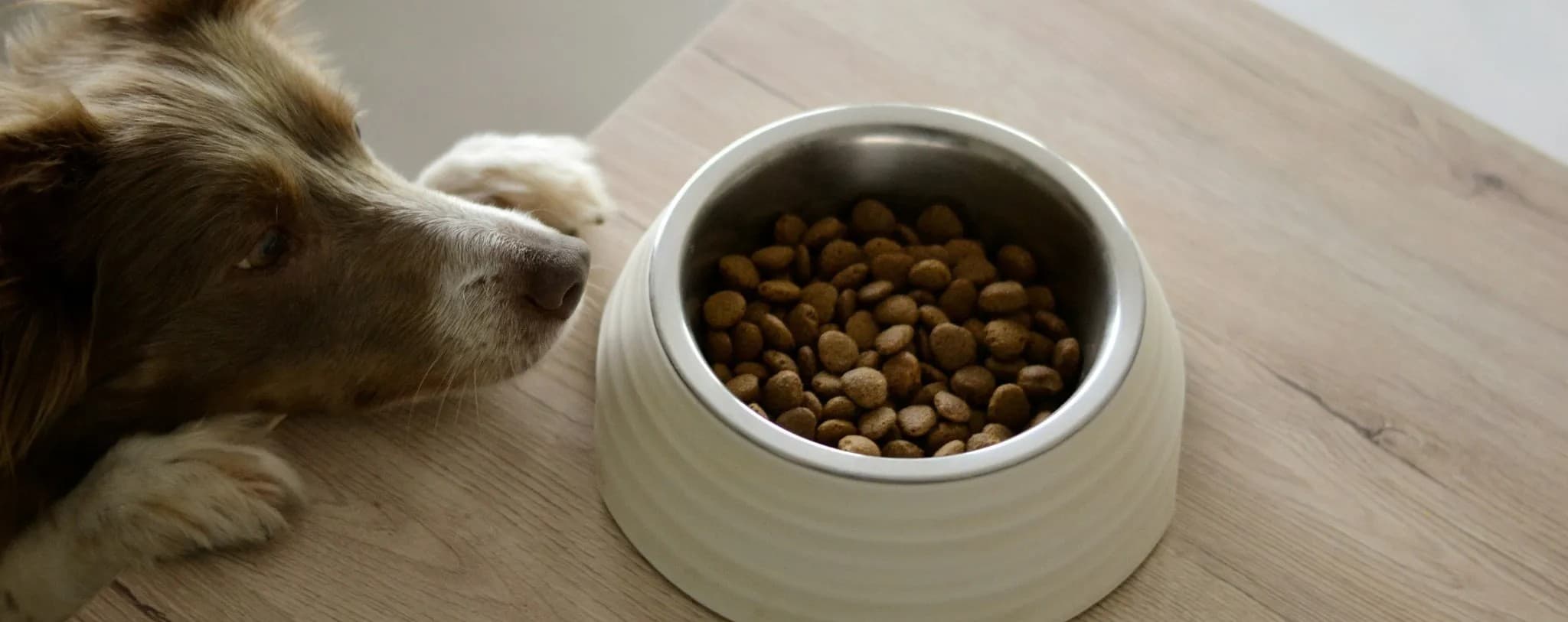 Pet Feeds Nourishing Wellness
