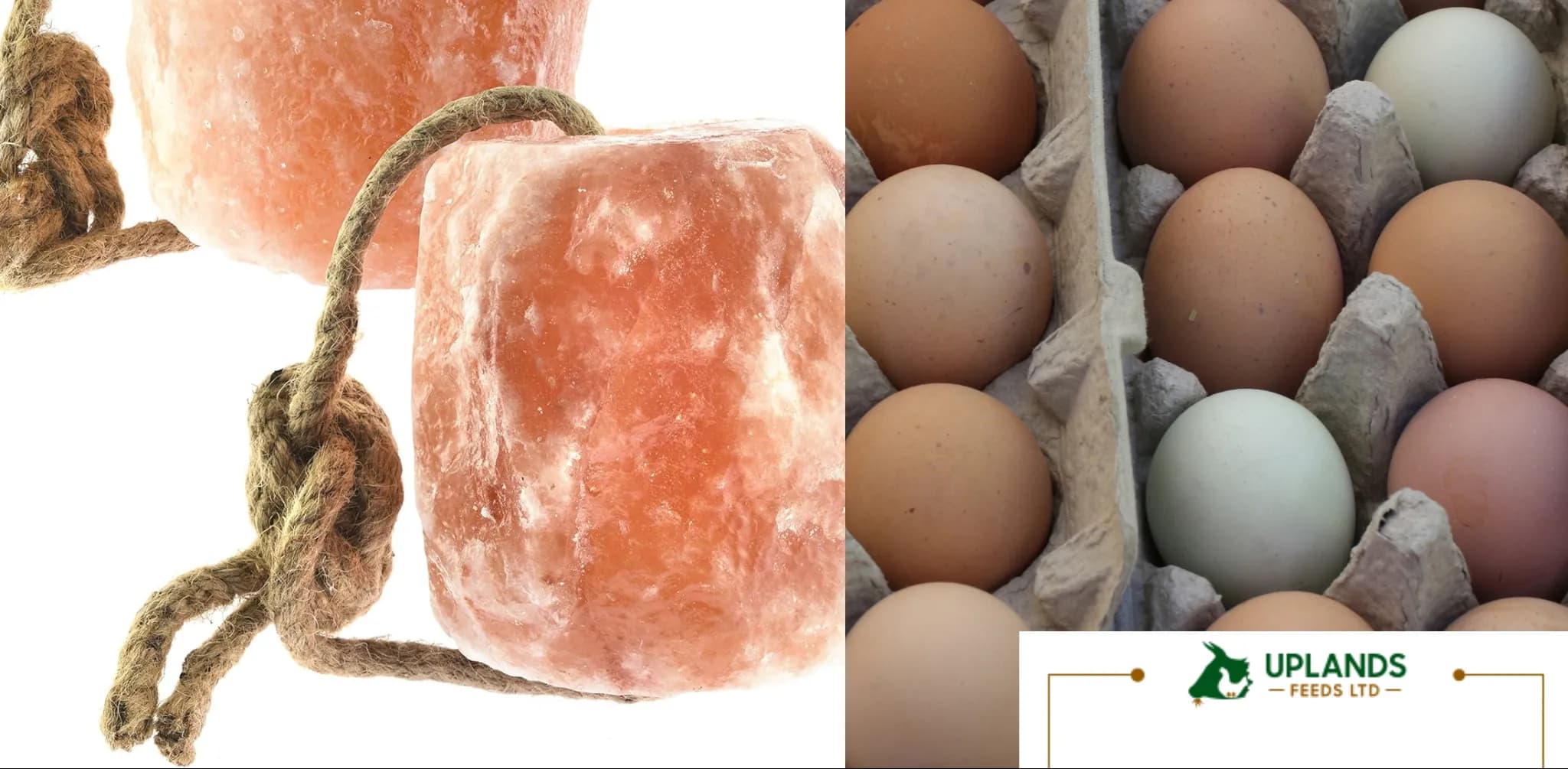 Mineral Licks & Egg Trays