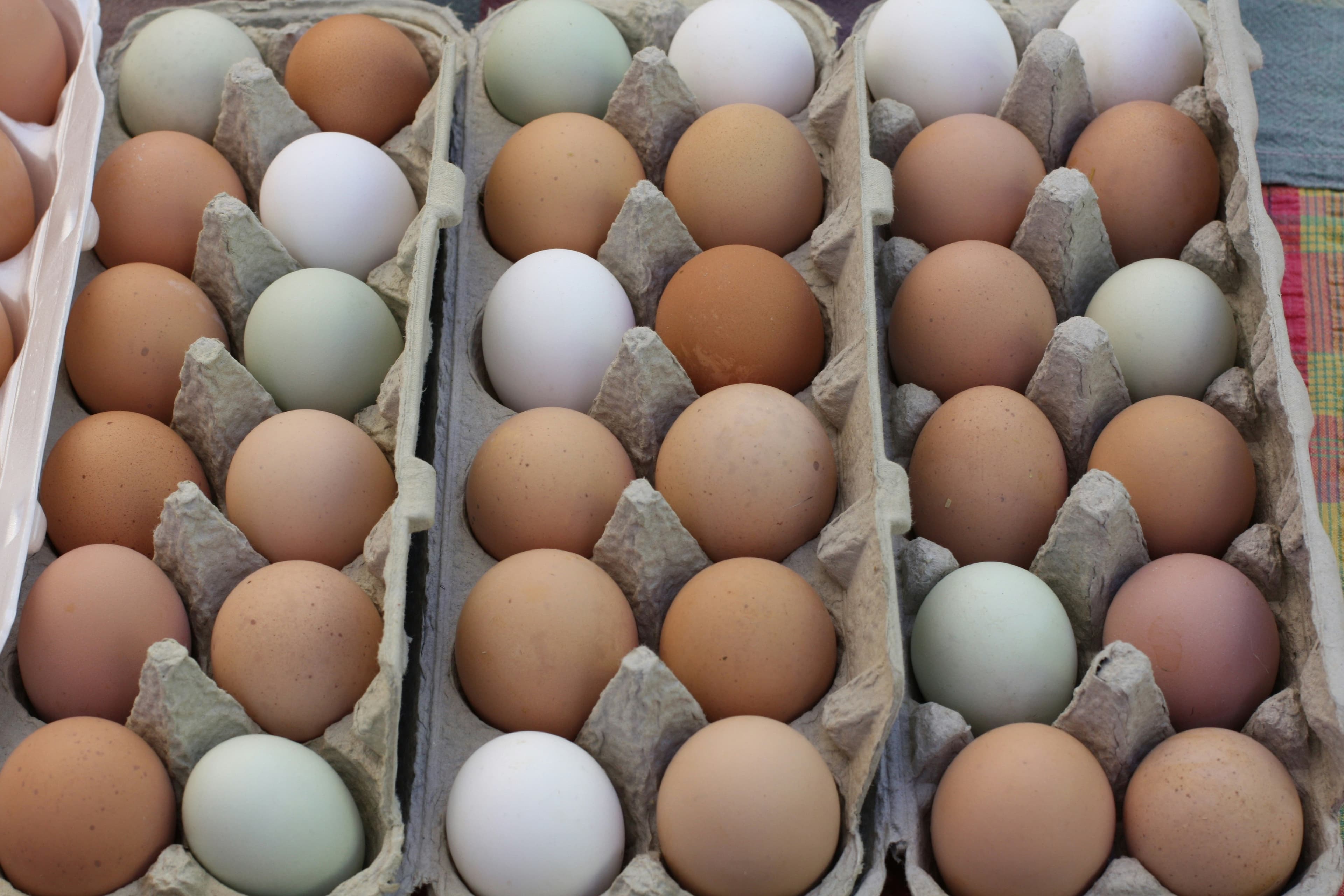 Eggs